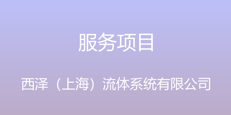 服务项目 - 西泽（上海）流体系统有限公司