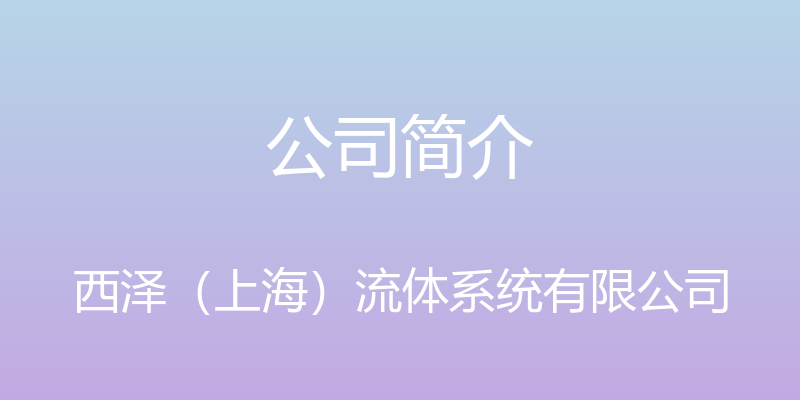 公司简介 - 西泽（上海）流体系统有限公司