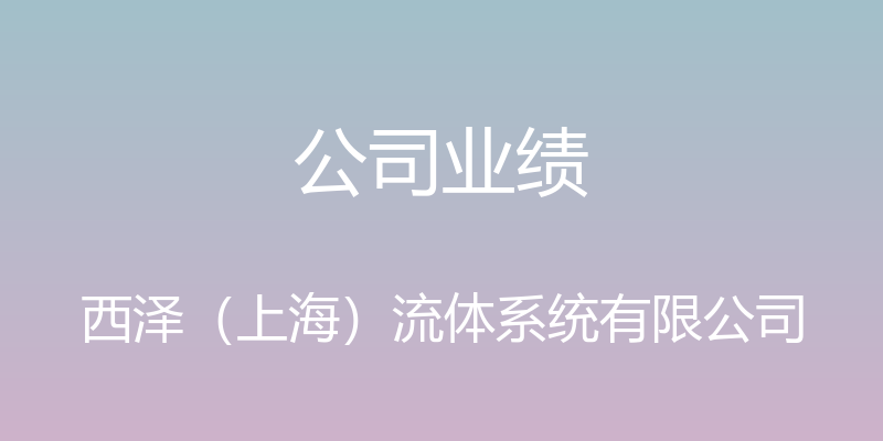 公司业绩 - 西泽（上海）流体系统有限公司